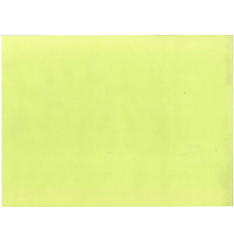 Tischsets Duni Papier 30x40 - kiwi - 250 Stck